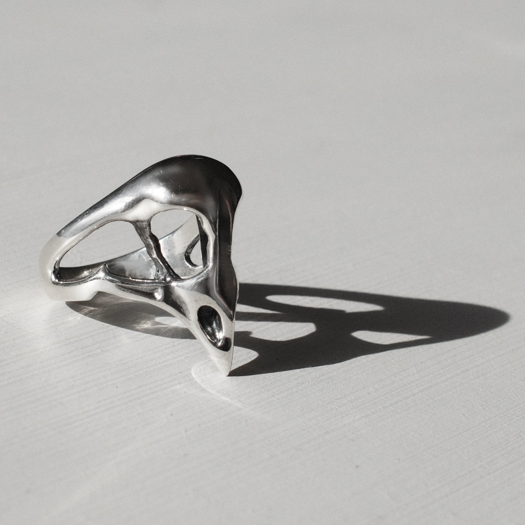 Bird skull ring