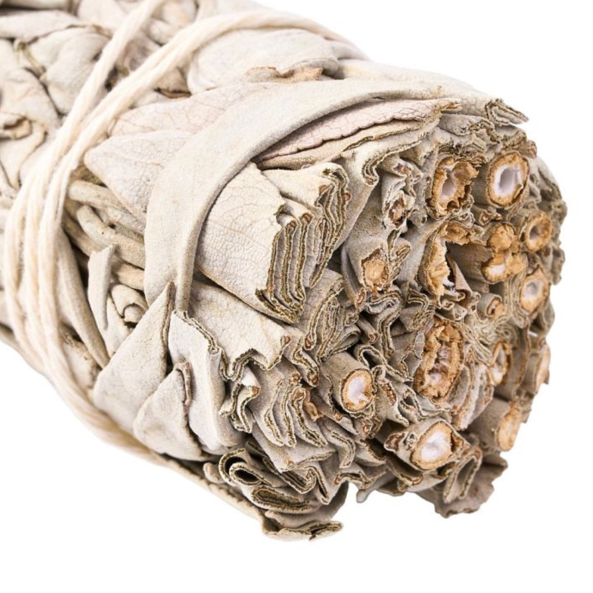 Sage and Palo Santo bundle