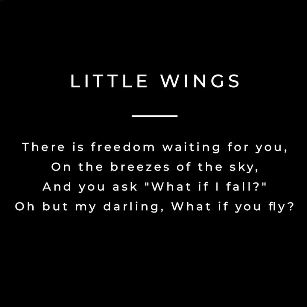 Little Wings mini hoops
