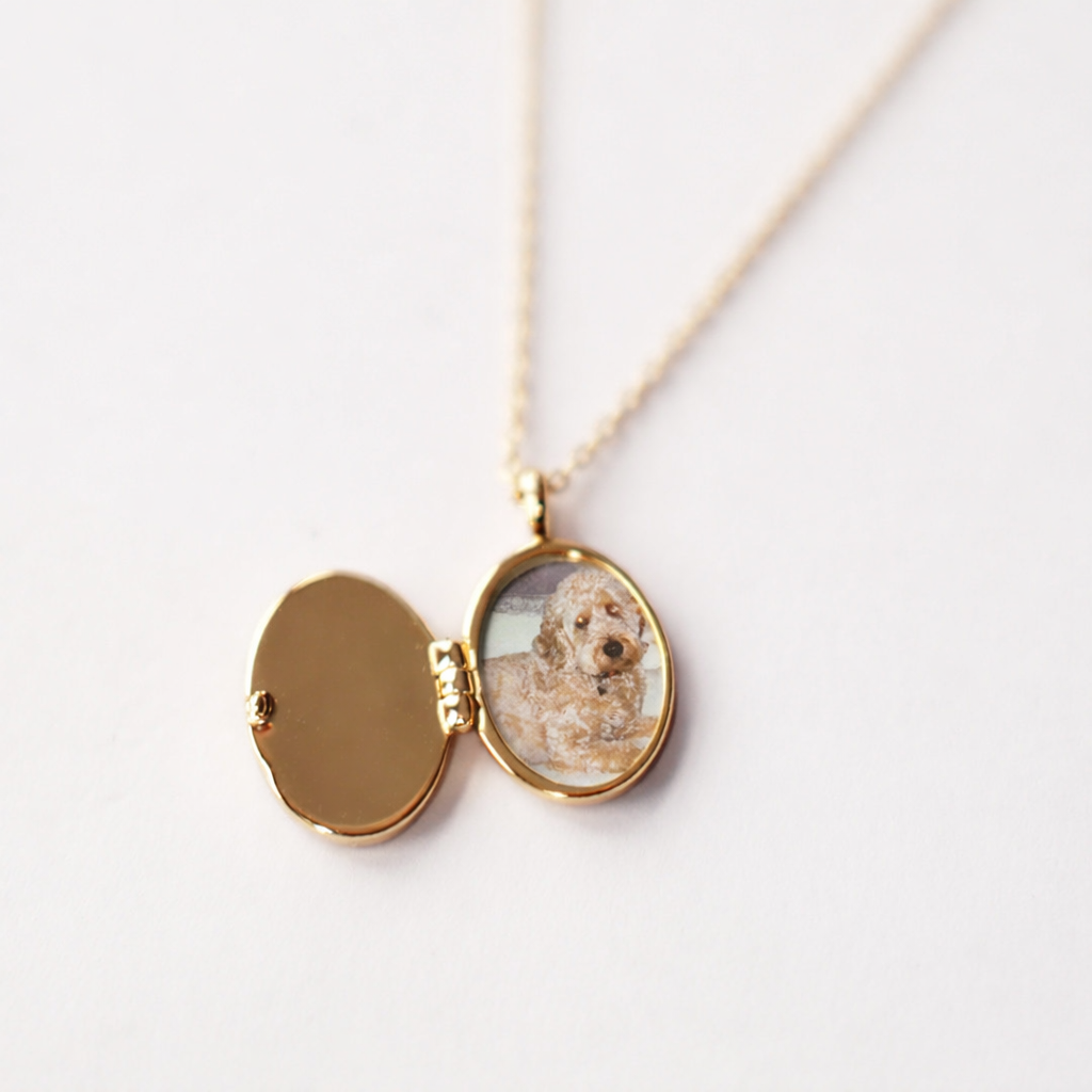 Little Heart Locket necklace gold