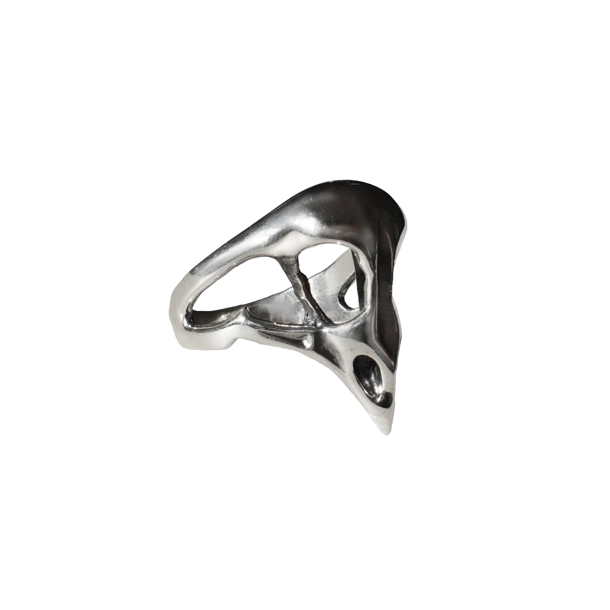 Bird skull ring