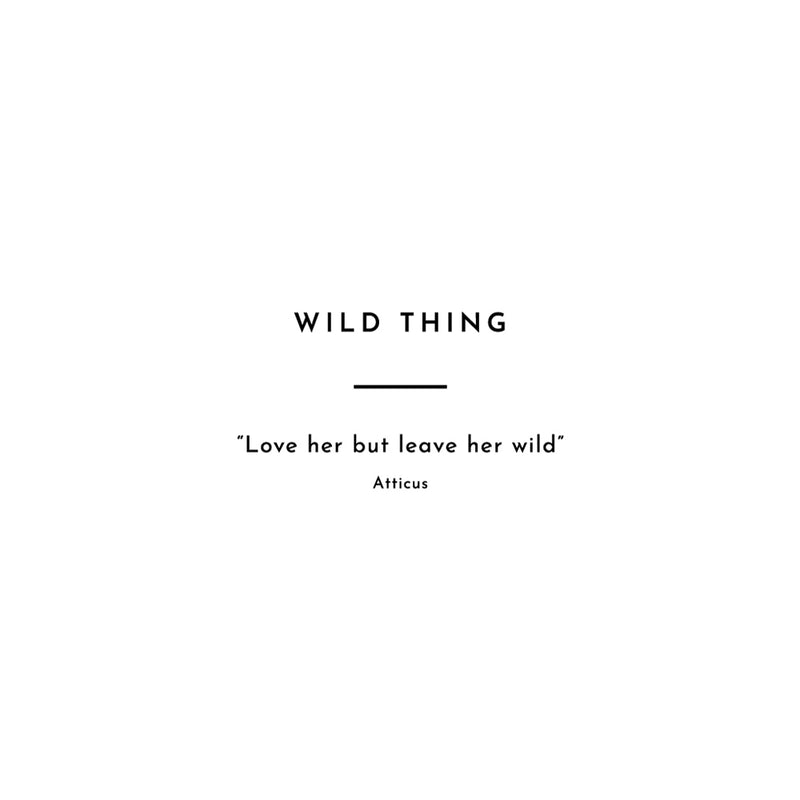 Wild Thing - Message Band